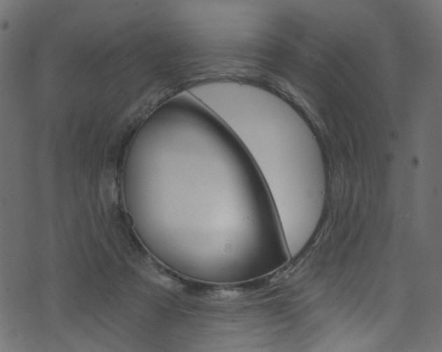 X0000074340313200608251052