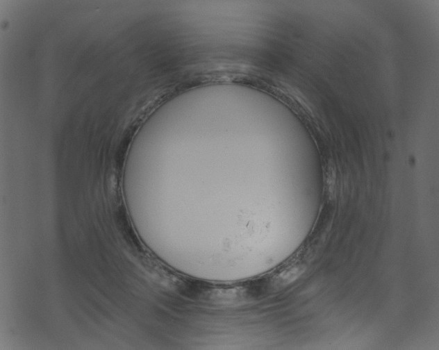 X0000074340314200608251052