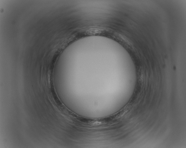 X0000074340315200608251052