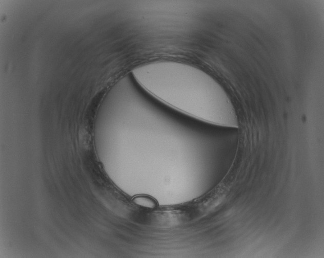 X0000074340316200608251052