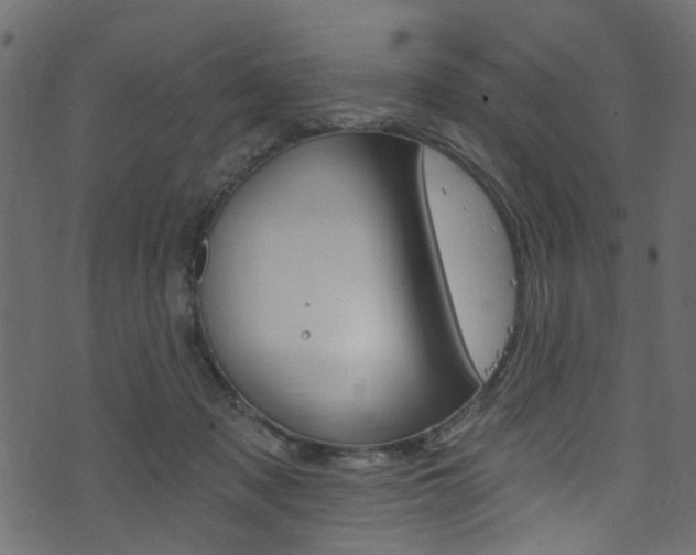 X0000074340317200608251052