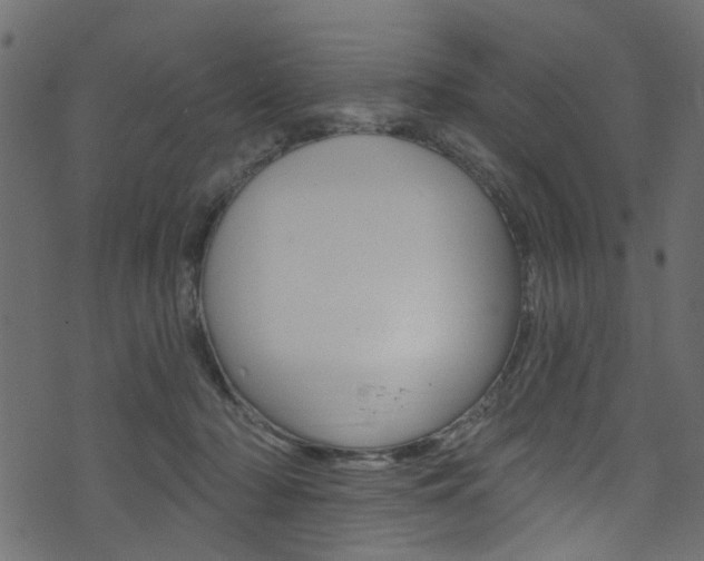 X0000074340318200608251052