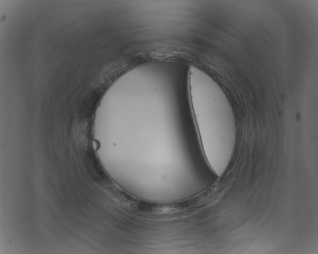 X0000074340319200608251052