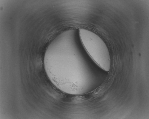 X0000074340320200608251052