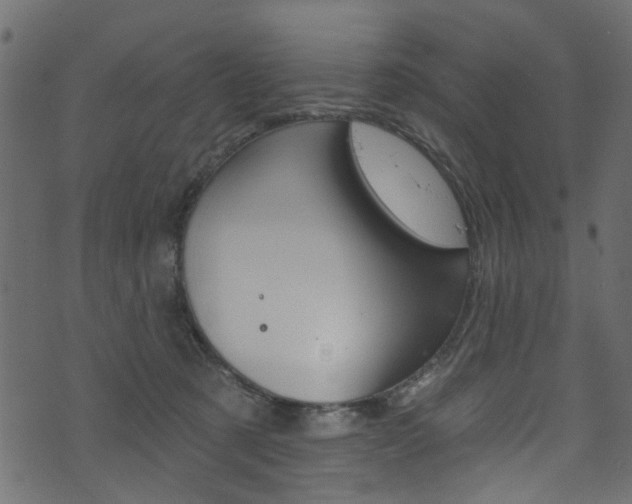 X0000074340321200608251052