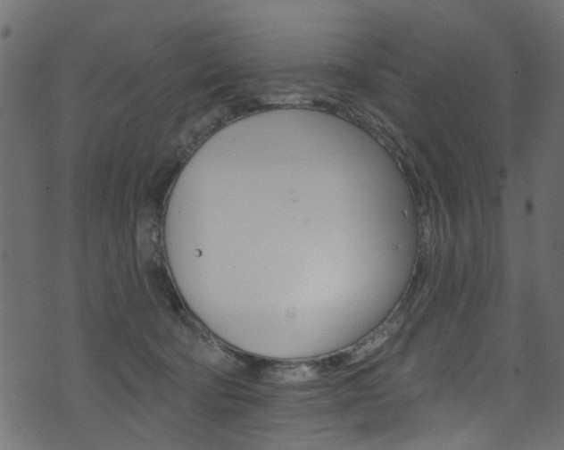 X0000074340322200608251052