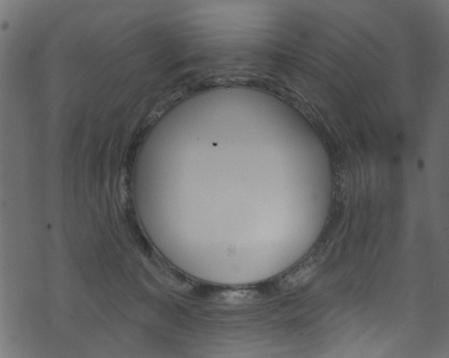 X0000074340323200608251052