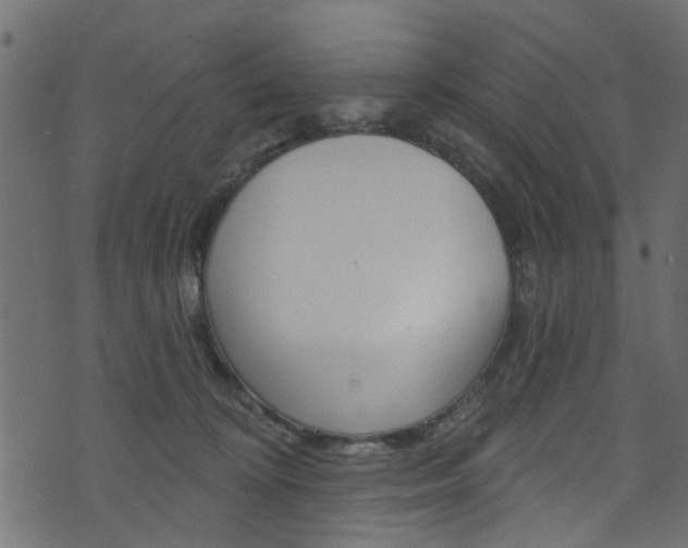 X0000074340324200608251052