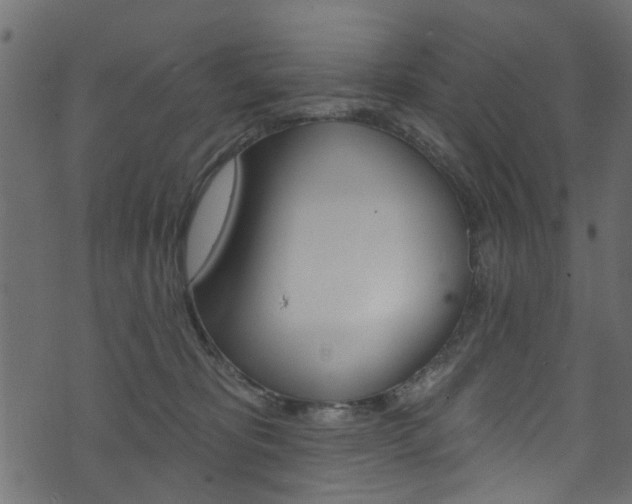 X0000074340325200608251052