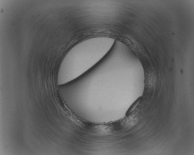 X0000074340326200608251052