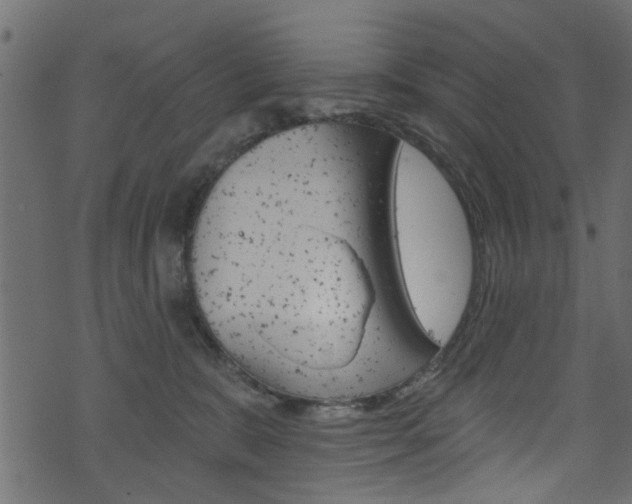 X0000074340327200608251052