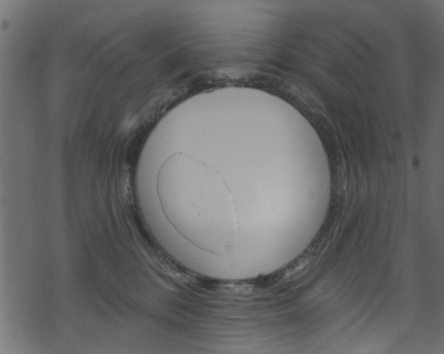 X0000074340328200608251052