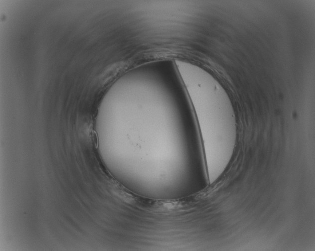 X0000074340329200608251052