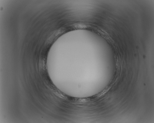 X0000074340330200608251052