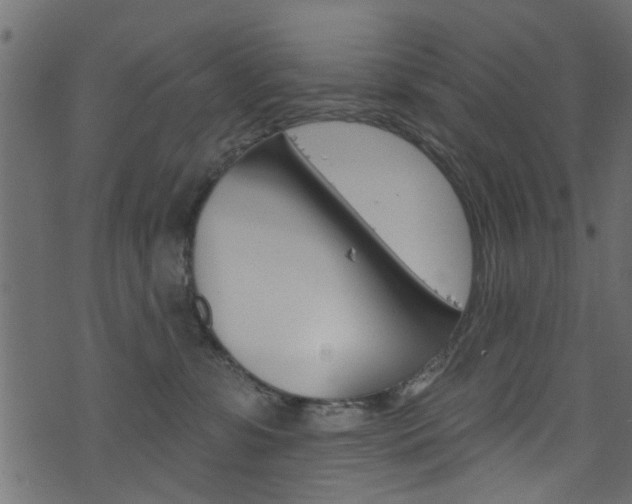 X0000074340331200608251052