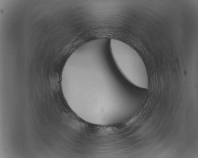 X0000074340332200608251052