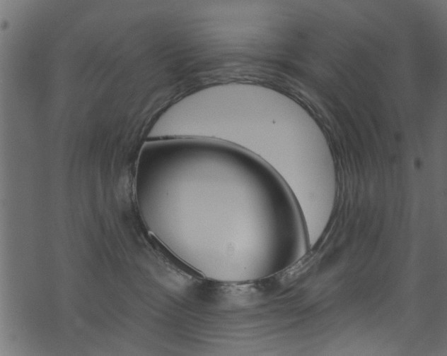 X0000074340333200608251052