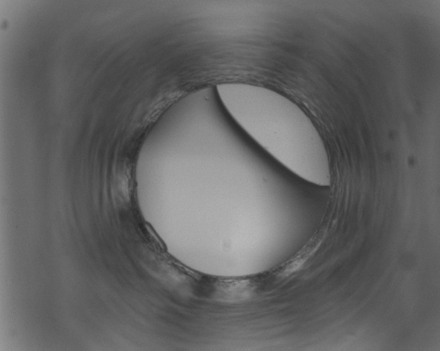 X0000074340334200608251052