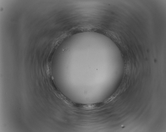 X0000074340335200608251051