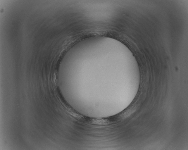 X0000074340336200608251051