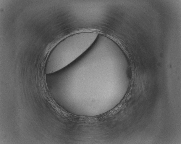 X0000074340337200608251051