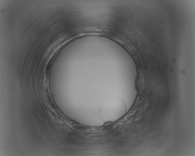 X0000074340338200608251051