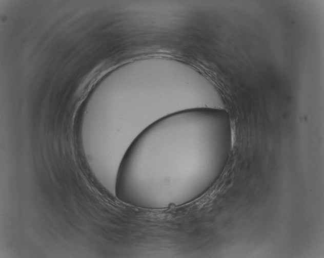 X0000074340339200608251051