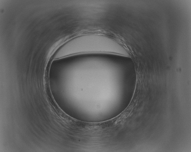 X0000074340340200608251051