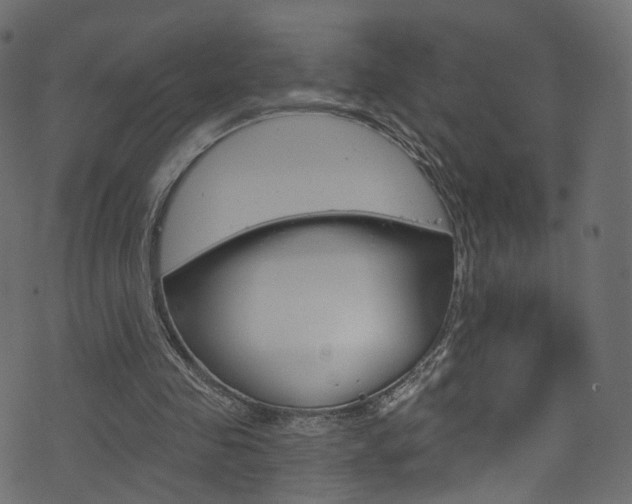 X0000074340341200608251051