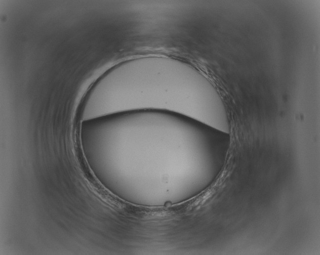 X0000074340342200608251051