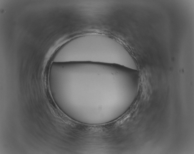 X0000074340343200608251051