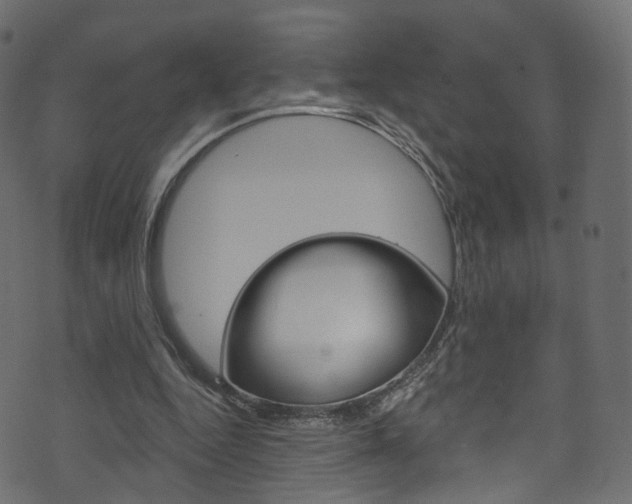 X0000074340344200608251051