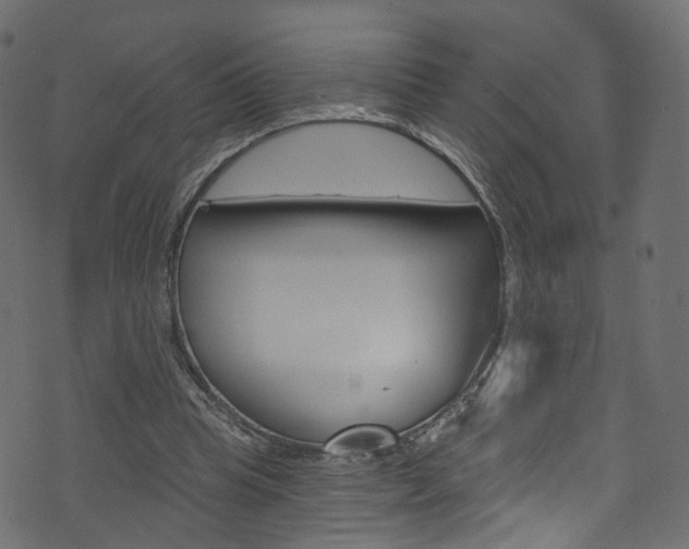 X0000074340345200608251051