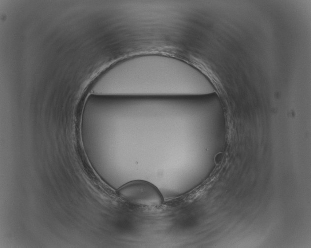 X0000074340346200608251051