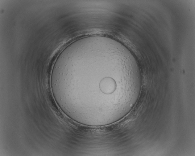 X0000074340347200608251051