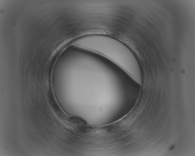 X0000074340348200608251051