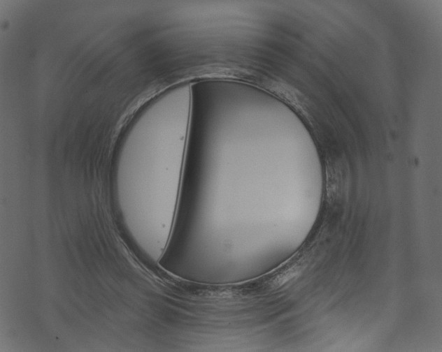 X0000074340349200608251051