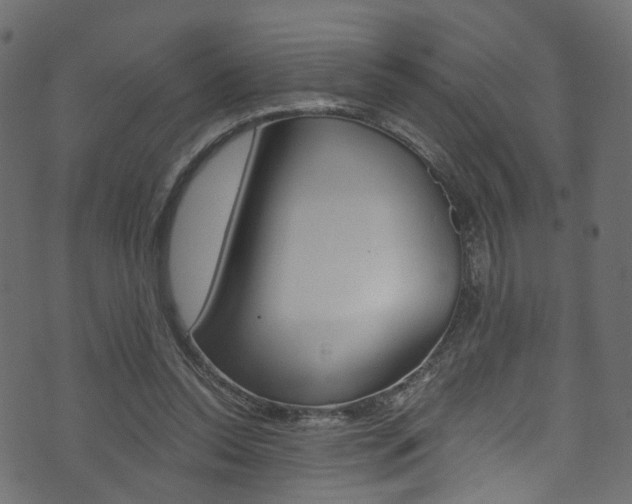 X0000074340350200608251051