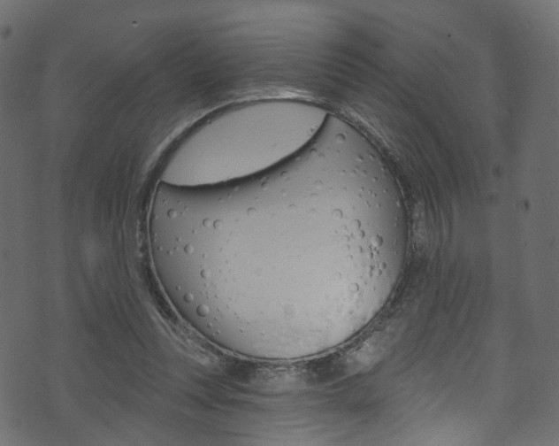 X0000074340351200608251051