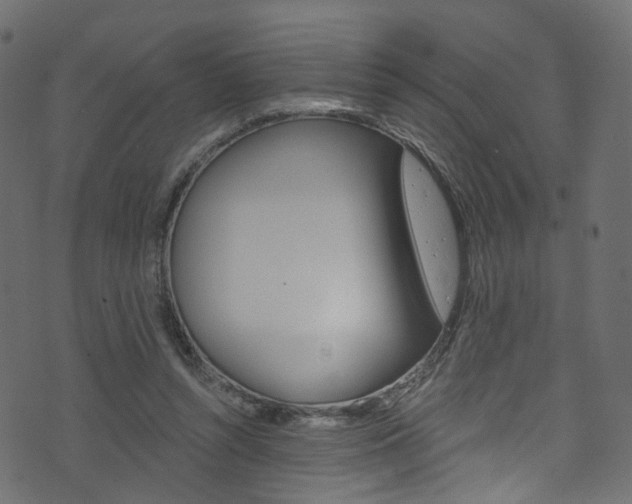 X0000074340352200608251051