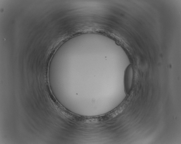 X0000074340353200608251051