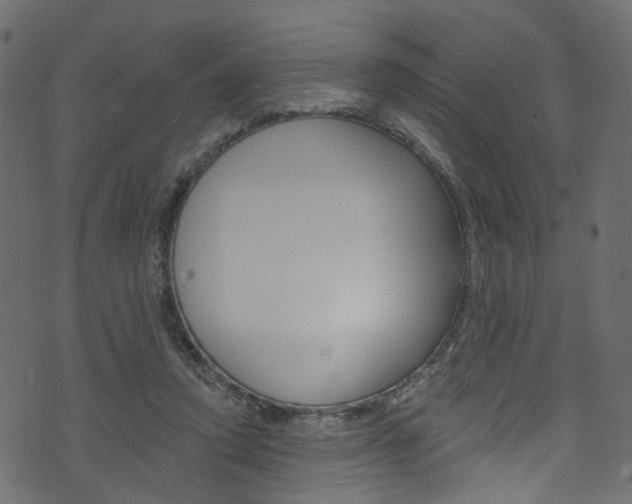 X0000074340354200608251051