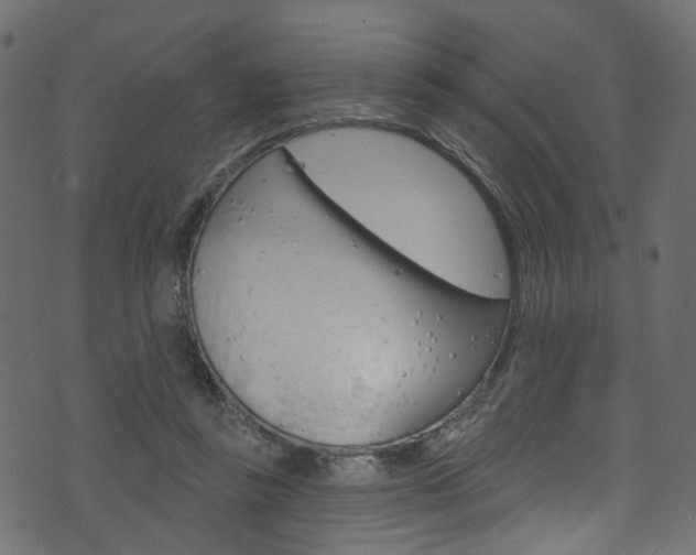 X0000074340355200608251051