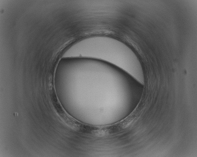 X0000074340356200608251051