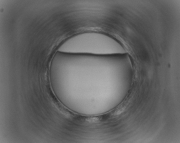 X0000074340357200608251051