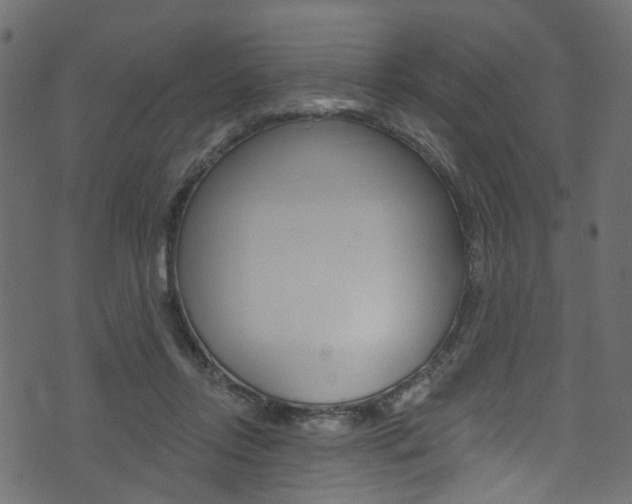 X0000074340358200608251051