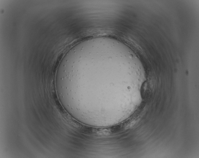 X0000074340359200608251051