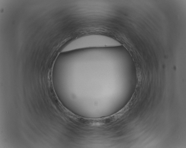 X0000074340360200608251051