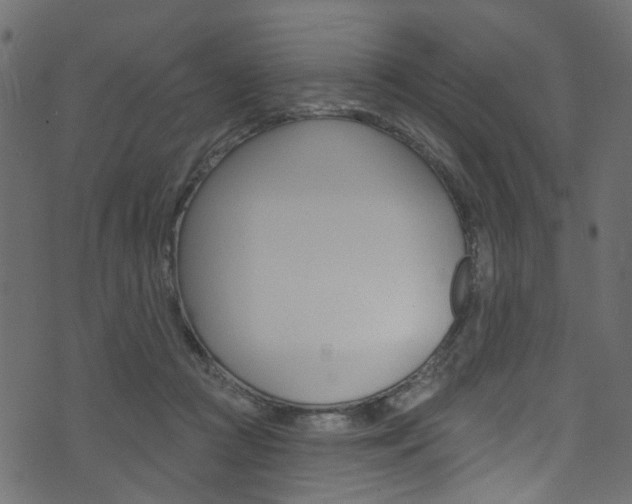 X0000074340361200608251051