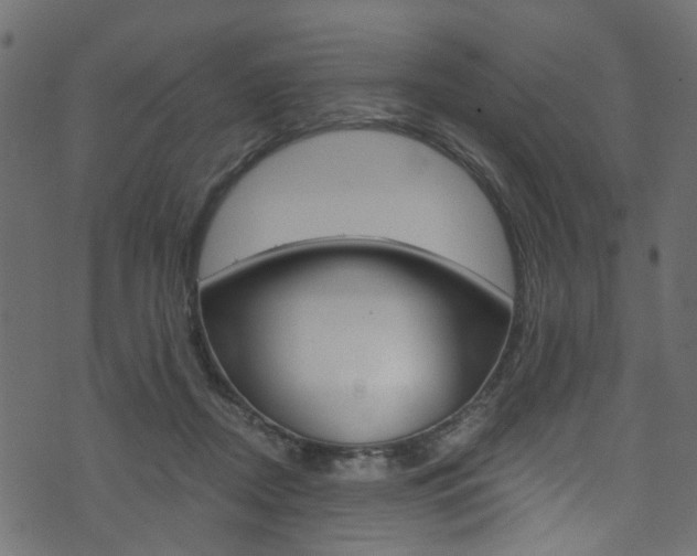 X0000074340362200608251051